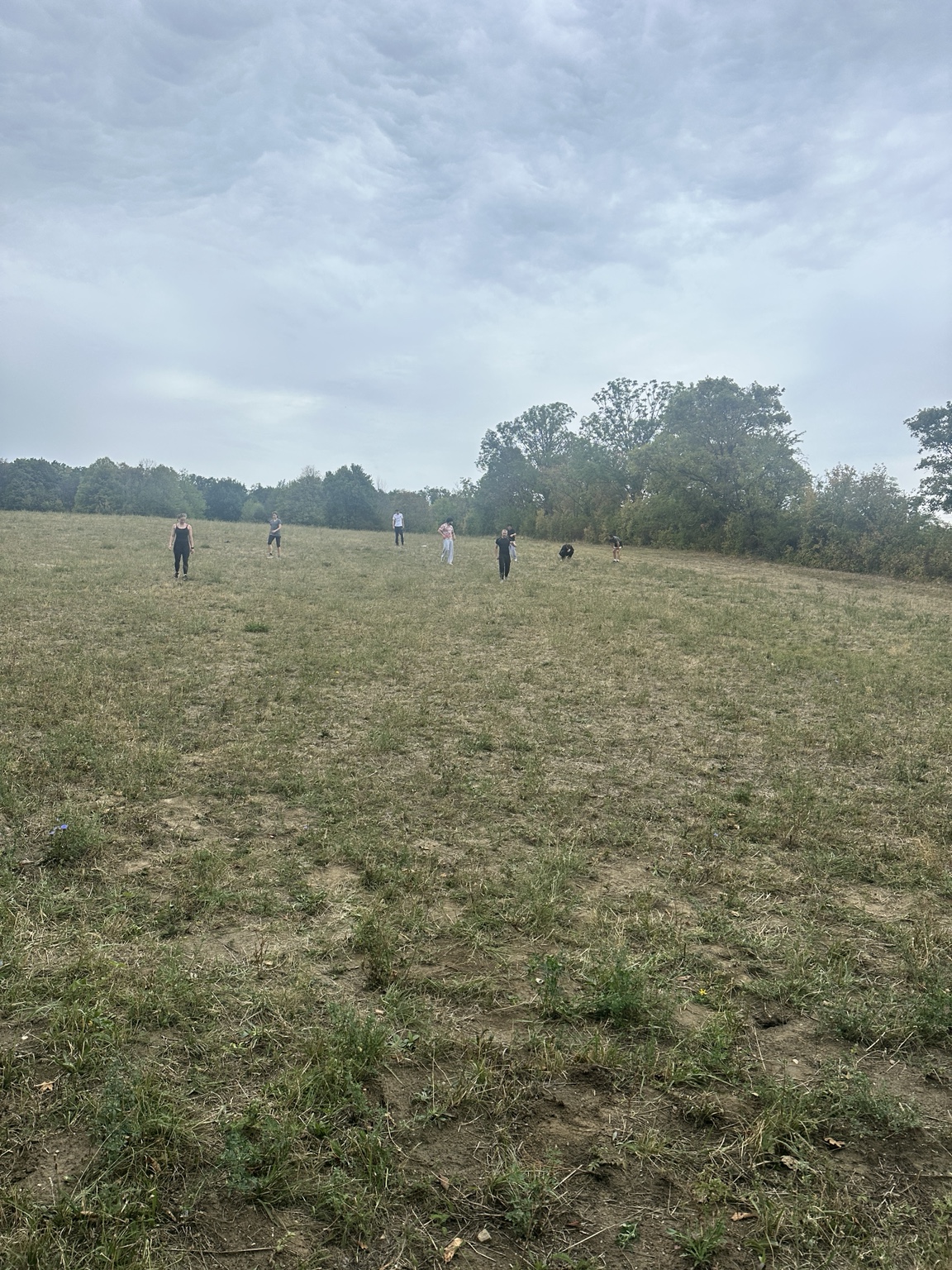 Intervalltraining auf der Wiese