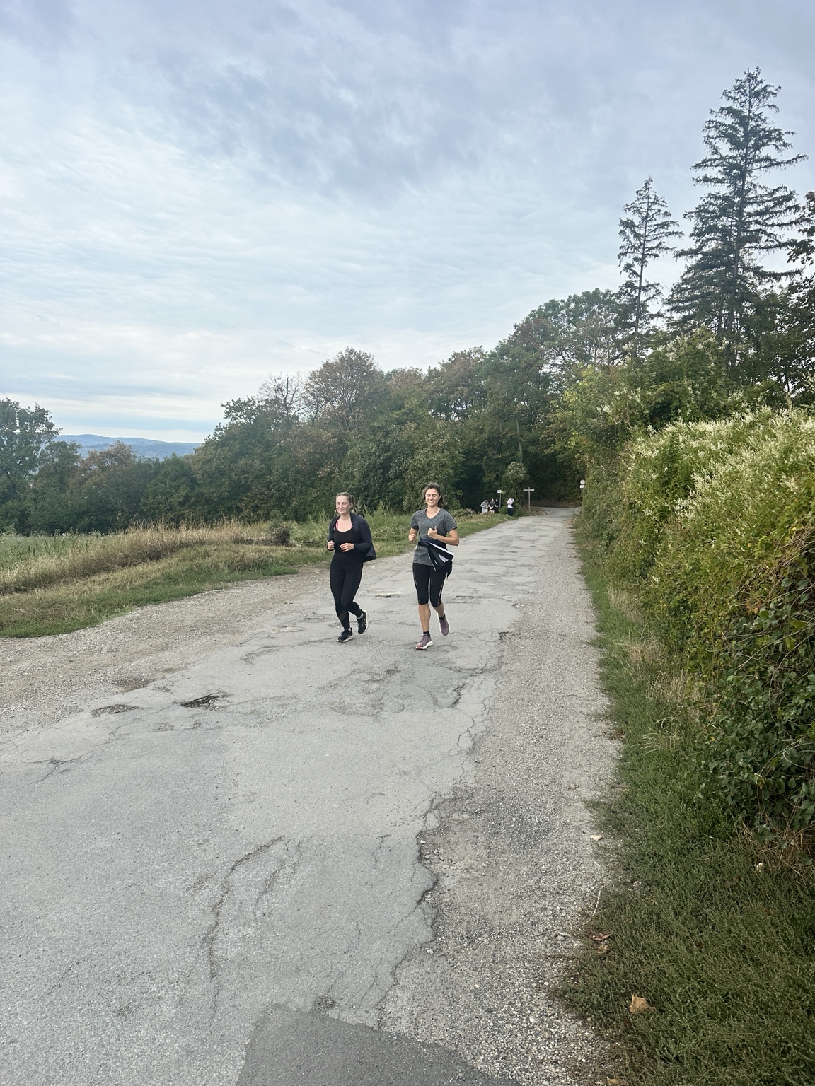 Lauftraining auf dem Weg im Grünen