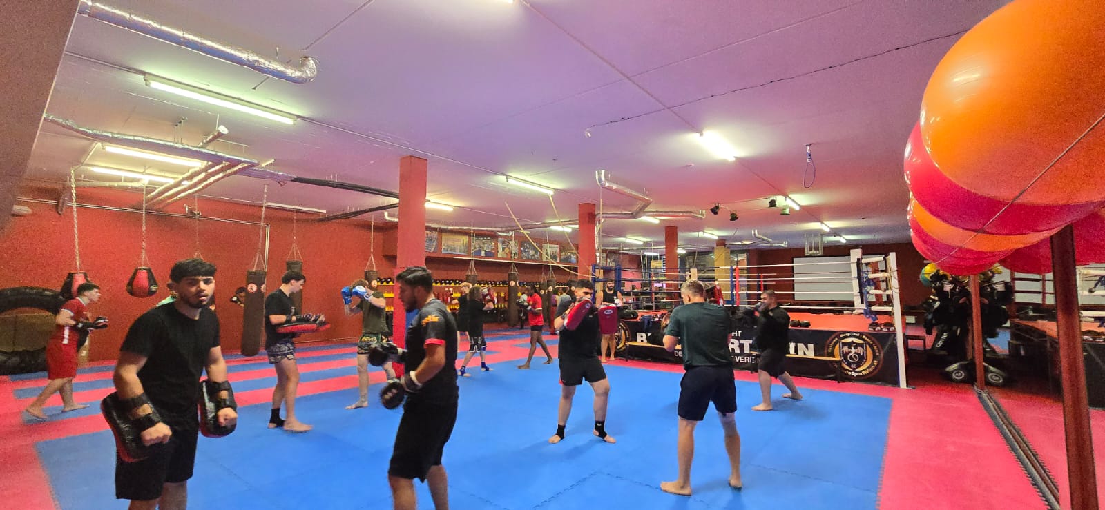 Sportler beim gemeinsamen Pratzentraining in der Halle von Budo Sport Wien
